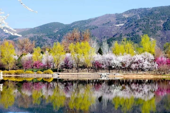 Private Transfer to Fragrant Hill & Beijing Botanical Garden — Self-Guided Day Trip photo 2