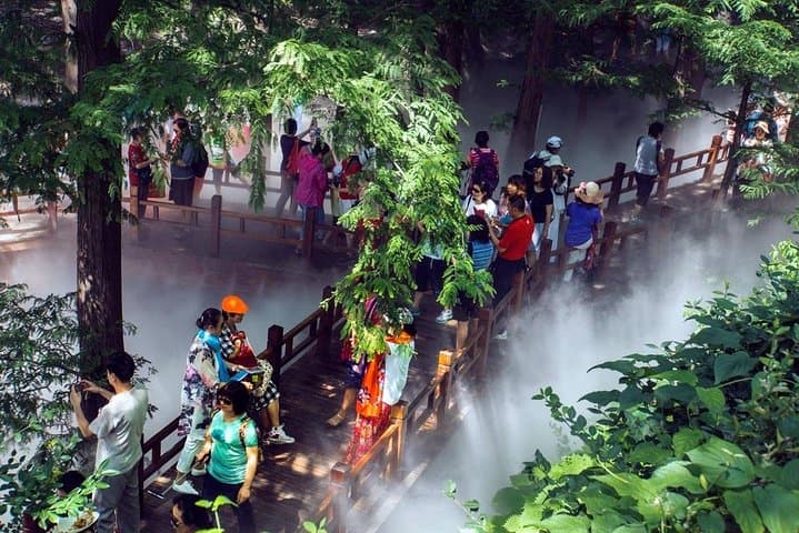Private Transfer to Fragrant Hill & Beijing Botanical Garden — Self-Guided Day Trip photo 3