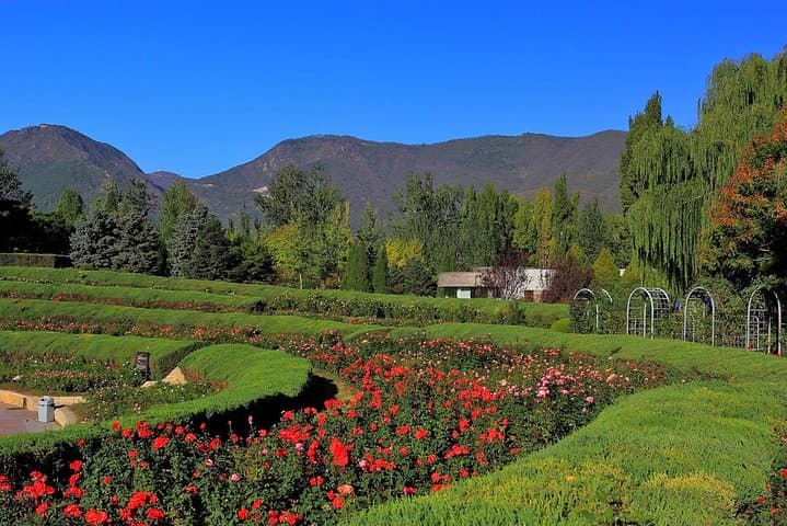 Private Transfer to Fragrant Hill & Beijing Botanical Garden — Self-Guided Day Trip photo 5