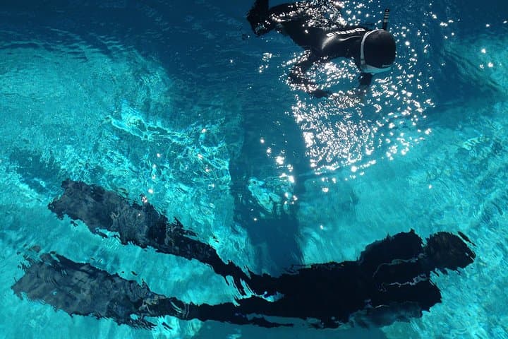 Snorkelling Ponta de São Lourenço: Madeira's Coastal Marine Safari photo 4