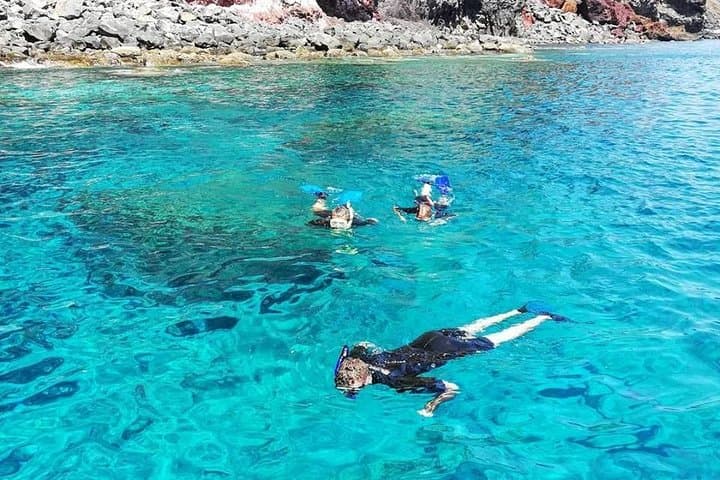Snorkelling Ponta de São Lourenço: Madeira's Coastal Marine Safari photo 5