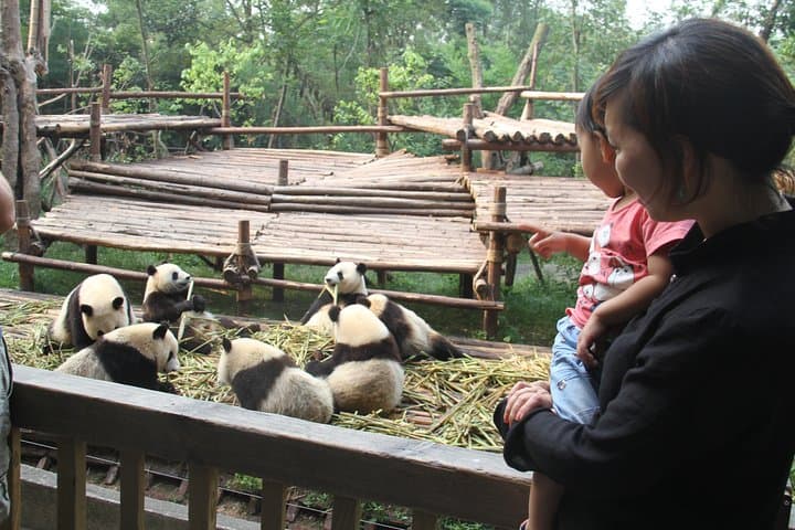 Zhangjiajie to Chengdu: 5-Day Private Tour of Peaks, Pandas & the Leshan Buddha