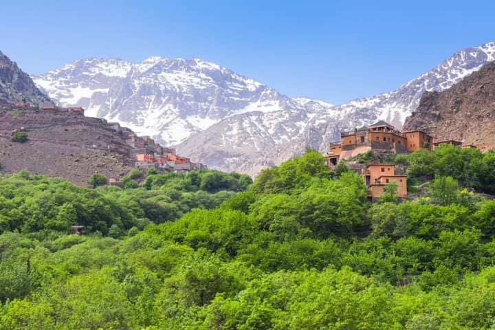 Atlas Mountains & Berber Villages: Full-Day Trek from Marrakech photo 5