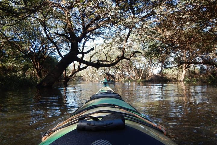 Kayak the Uruguay River: Day Cruises to River Islands and Wildlife photo 4