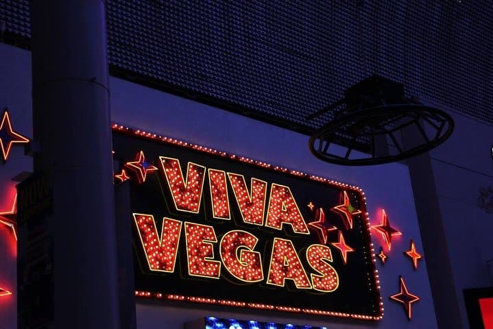 Virtual Las Vegas Night Scorpion & Black Widow Hunt — Live Interactive Tour photo 6