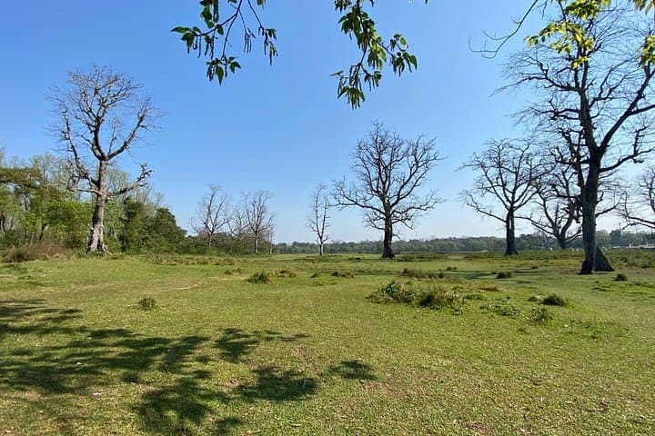 Canoe the Rapti River and Guided Nature Walk in Chitwan National Park
