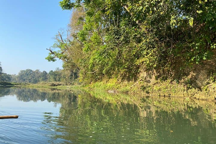 Canoe the Rapti River and Guided Nature Walk in Chitwan National Park photo 4