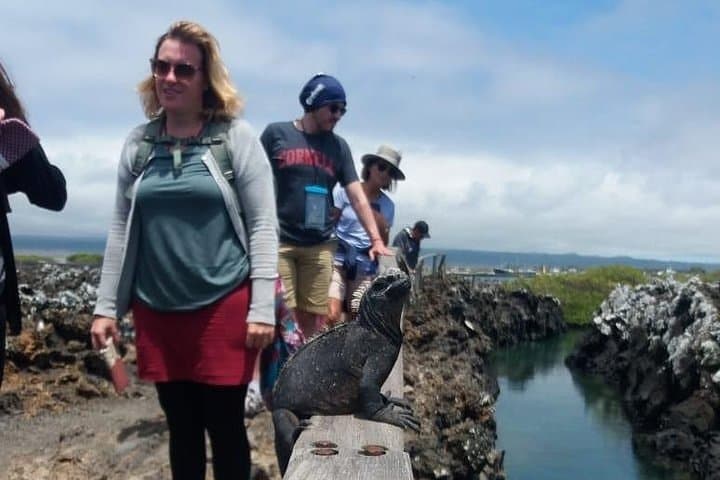 Isabela Island in 2 Days: Wetlands, Tintoreras & Sierra Negra Volcano photo 6