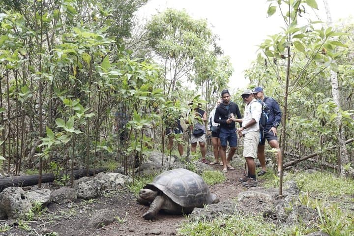 11-Day Galapagos Full Experience: Santa Cruz, Isabela & San Cristobal photo 4