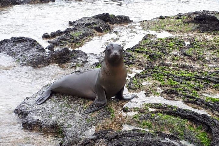11-Day Galapagos Full Experience: Santa Cruz, Isabela & San Cristobal photo 5