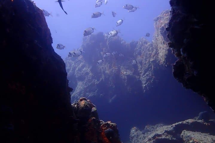 Shore Scuba at Agia Anna: Beginner Dives with Nima Diving Center, Naxos photo 2