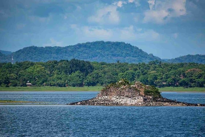 Polonnaruwa Day Tour: Ancient Ruins, Sri Lankan Lunch & Optional Elephant Visit photo 6