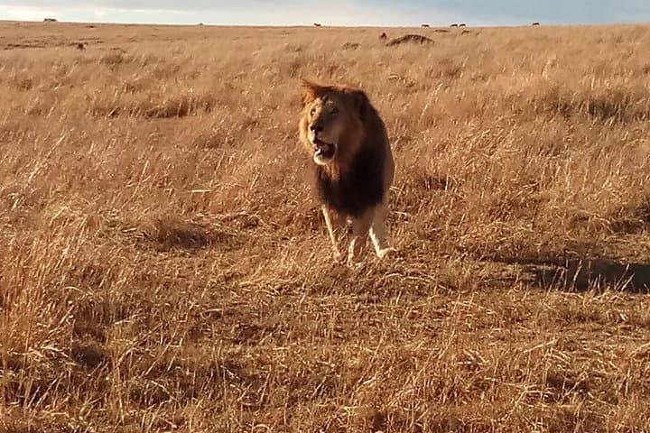 2-Day Lake Nakuru National Park Safari from Nairobi photo 2