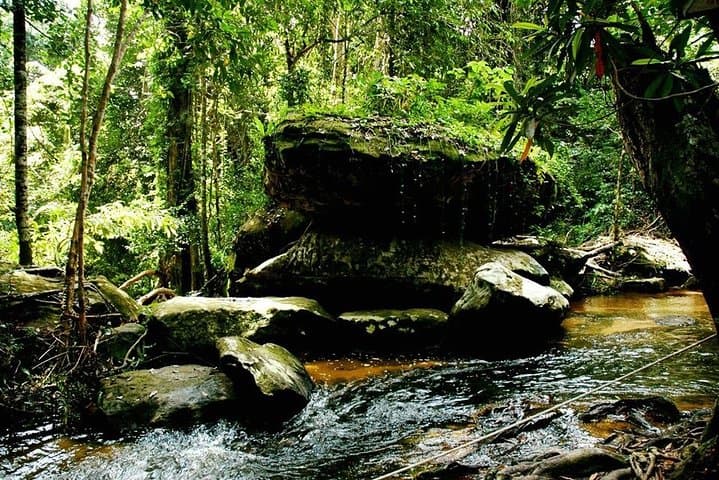 Hike Kbal Spean and Discover Banteay Srei: Full-Day Siem Reap Temple Trek photo 2
