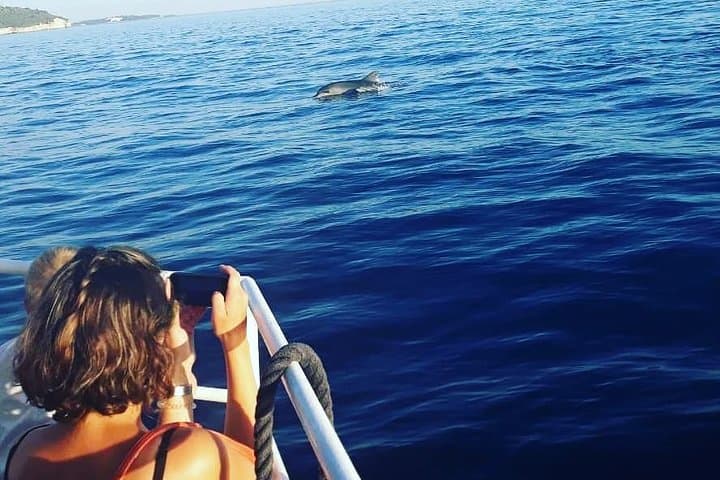 Sunset Dolphin Cruise in Brijuni National Park with Dinner & Drinks photo 6