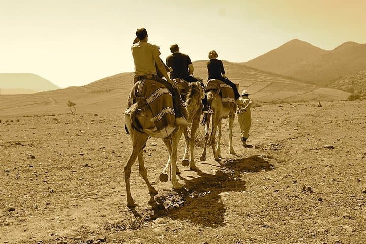 Agafay Desert and Atlas Mountains Full-Day Adventure from Marrakech