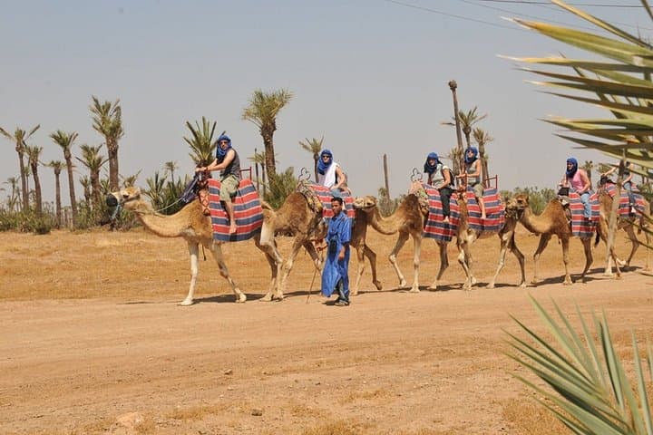 Marrakech Half-Day Quad and Camel Ride: Desert Tracks to Tuareg Caravan Experience