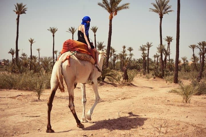 Marrakech Half-Day Quad and Camel Ride: Desert Tracks to Tuareg Caravan Experience photo 2