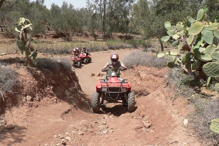 Half-Day Quad Adventure in Marrakech Palm Grove photo 6