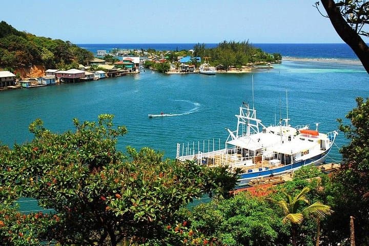 Design Your Own Roatan Island Tour — Customizable 4‑Hour Guided Drive with Snorkel & Local Stops photo 2