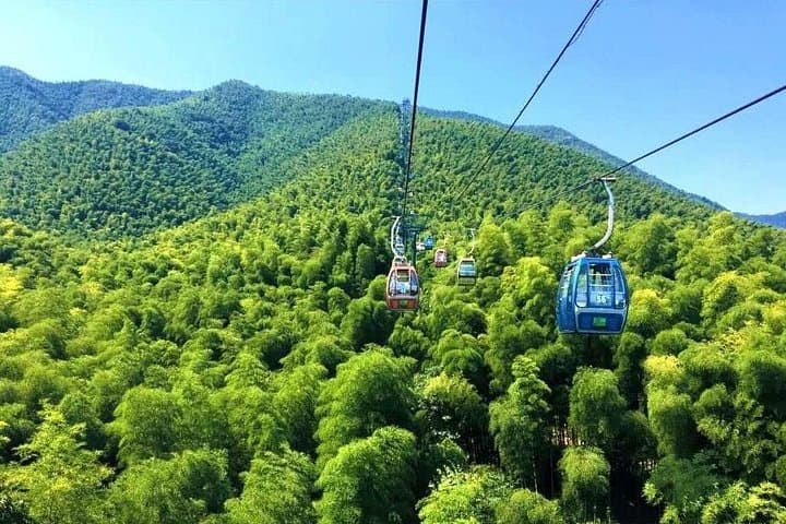 Explore Yixing's Sea of Bamboos: Private Day Tour from Wuxi photo 1