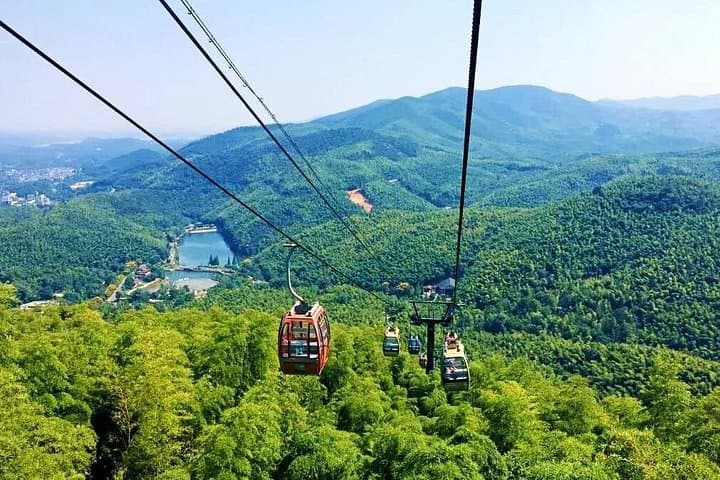 Yixing Bamboo Sea Private Day Tour from Shanghai — Bamboo Forest Cable Car & Tea Trails photo 1