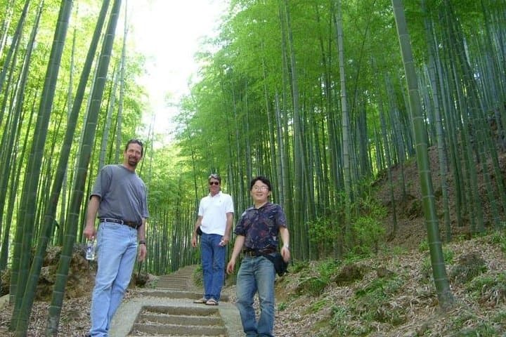 Explore Yixing's Sea of Bamboos: Private Day Tour from Wuxi photo 2