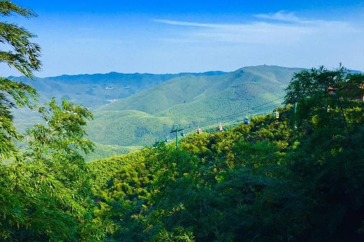 Explore Yixing's Sea of Bamboos: Private Day Tour from Wuxi photo 3