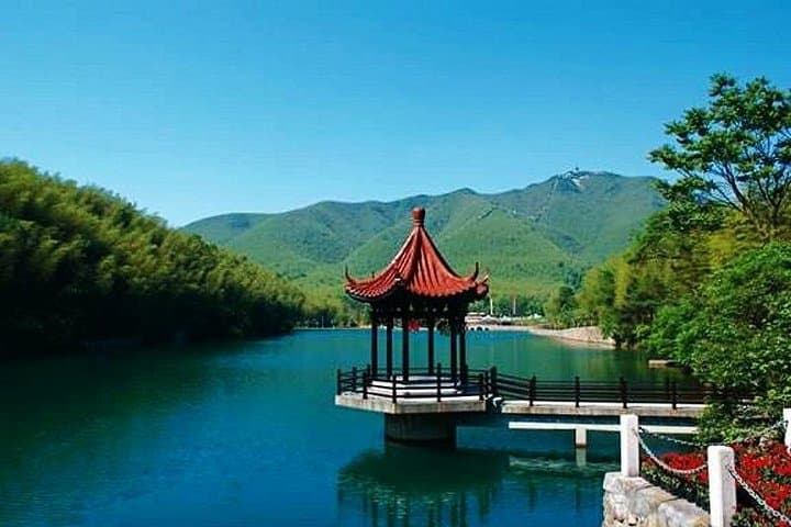 Yixing Bamboo Sea Private Day Tour from Shanghai — Bamboo Forest Cable Car & Tea Trails photo 2