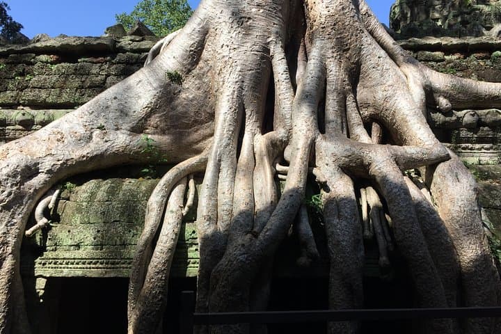Half-Day Private Tour to Ta Prohm (Tomb Raider) & Banteay Kdei — Siem Reap Temple Walk photo 2