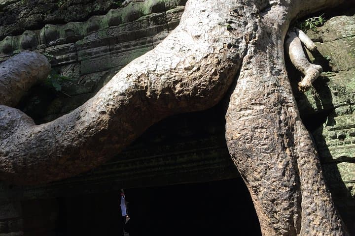 Half-Day Private Tour to Ta Prohm (Tomb Raider) & Banteay Kdei — Siem Reap Temple Walk photo 4