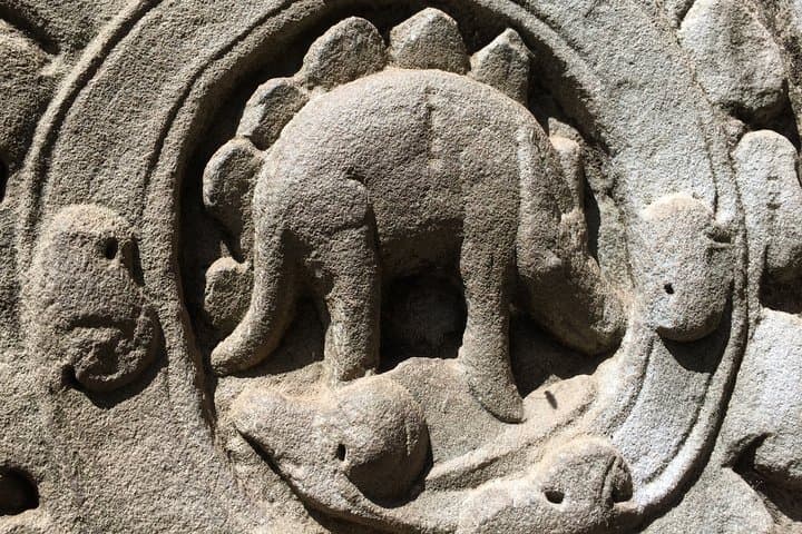 Half-Day Private Tour to Ta Prohm (Tomb Raider) & Banteay Kdei — Siem Reap Temple Walk photo 5