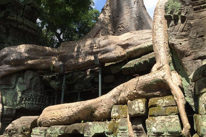 Half-Day Private Tour to Ta Prohm (Tomb Raider) & Banteay Kdei — Siem Reap Temple Walk photo 6