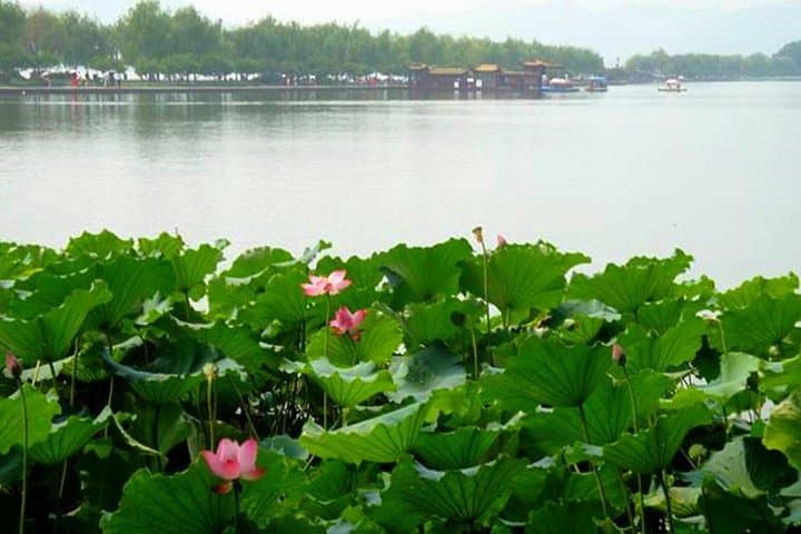 Hangzhou Heaven on Earth: West Lake Cruise & Tea Village Day Tour