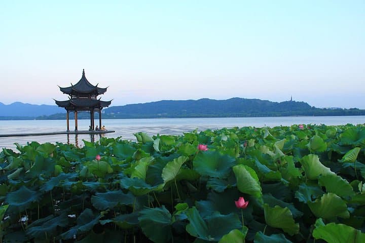 Hangzhou Heaven on Earth: West Lake Cruise & Tea Village Day Tour photo 4