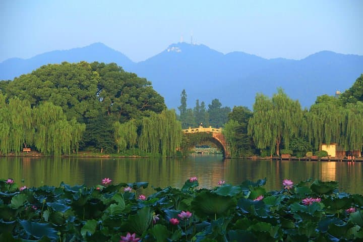 Hangzhou Heaven on Earth: West Lake Cruise & Tea Village Day Tour photo 6