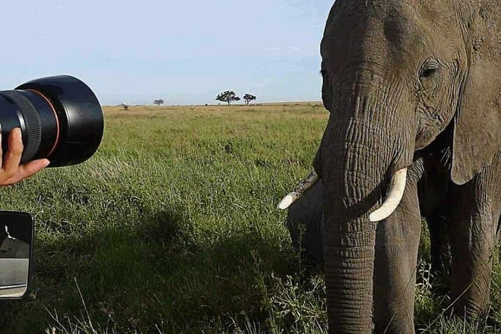 Tarangire National Park Day Trip: Dry-Season Wildlife & Baobab Game Drive photo 3