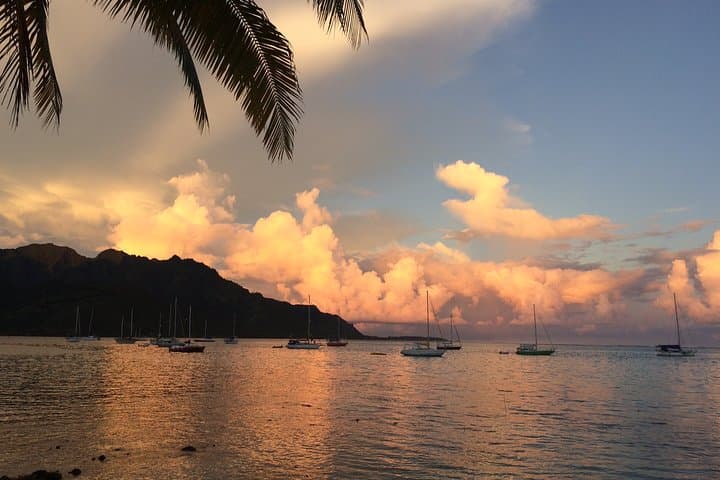 Janzu in Moorea: Lagoon-Based Aquatic Massage and Deep Relaxation photo 3