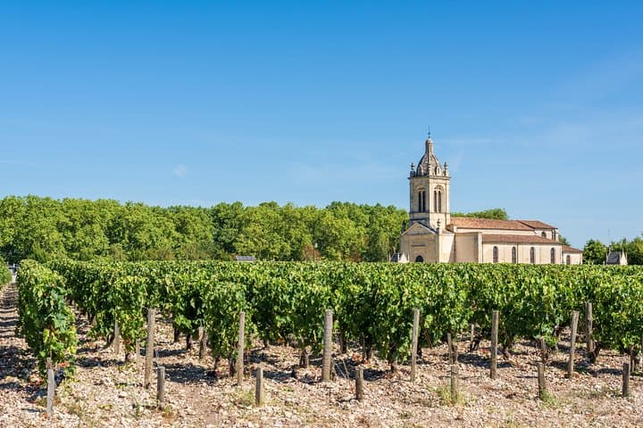 Drive a Citroën 2CV Through Médoc: Private 4.5-Hour Wine Tour from Bordeaux photo 5