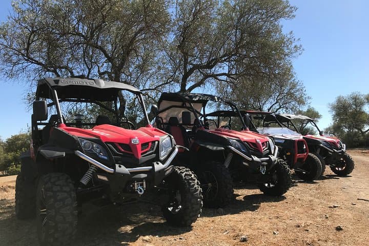 Buggy Route Through the Dehesa: 2-Hour Off-Road Adventure in Extremadura photo 2
