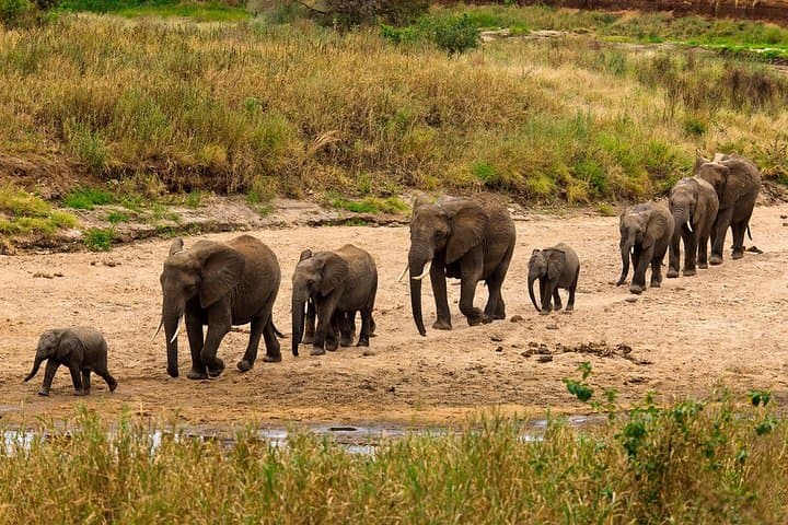 Private Tanzania Safari: Lake Manyara & Ngorongoro Crater Experience photo 2