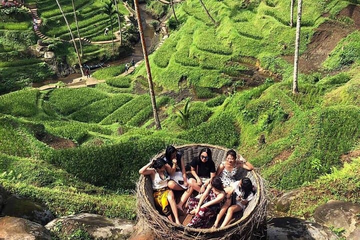 Bali by Road: Private Driver Tours from Ubud to Temples, Rice Terraces & Beaches photo 5