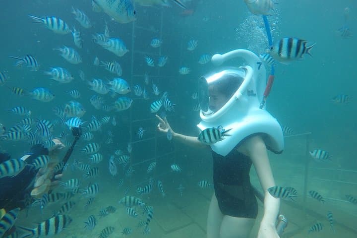 Hoi An 3-Day Sea Trek & Cooking Class — Cham Island Snorkel and Ancient Town Tour photo 5