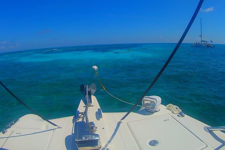 Private Snorkel Tour to John Pennekamp Coral Reef State Park — Key Largo photo 5