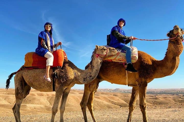 Buggy-and-Camel-Combo-in-Marrakech-Half-Day-Palmeraie-Adventure photo 5