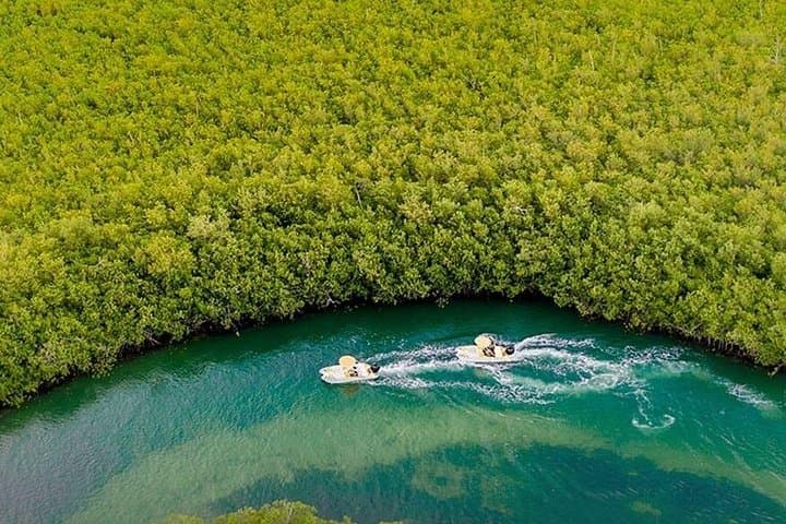 Drive Your Own Speedboat and Snorkel Punta Nizuc: Jungle Tour in Cancún photo 2