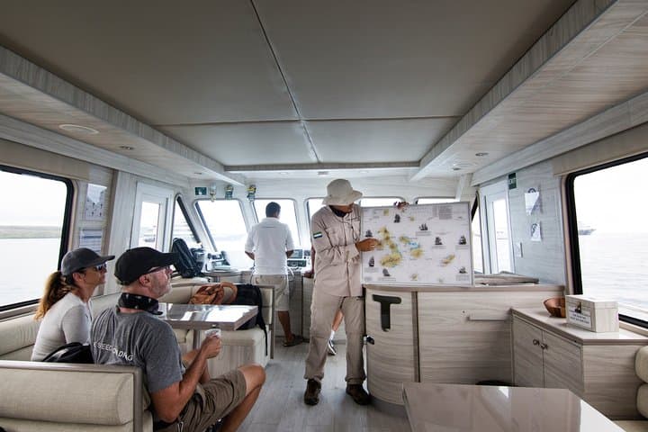 North Seymour and Las Bachas Yacht Day Tour — Galápagos Wildlife, Snorkeling & History photo 3