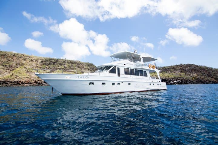 North Seymour and Las Bachas Yacht Day Tour — Galápagos Wildlife, Snorkeling & History photo 2