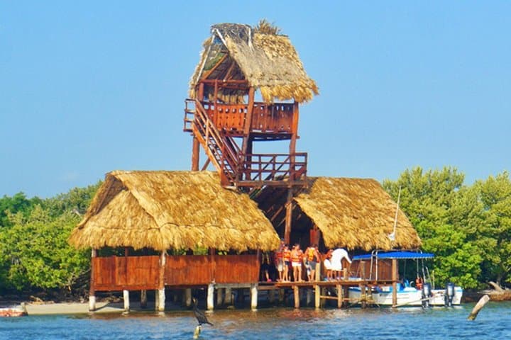 Holbox & Isla Pasion Day Trip from Cancun — Cenote Yalahau, Punta Mosquito & Beach Time photo 6