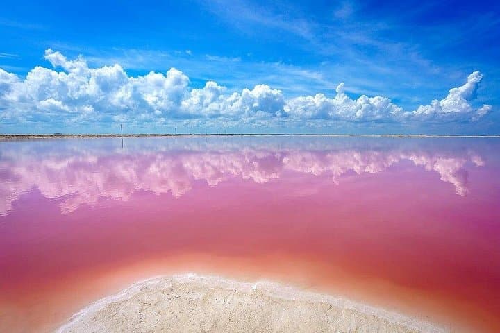 Explore Rio Lagartos & Las Coloradas: Pink Lakes, Flamingos and a Mayan Bath photo 6